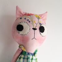 Image 5 of Tara Aster