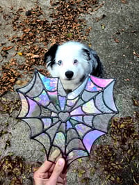 Image 1 of Spiderweb 🤍