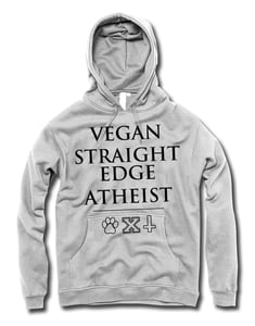 Image of VXA pullover hoodie grey