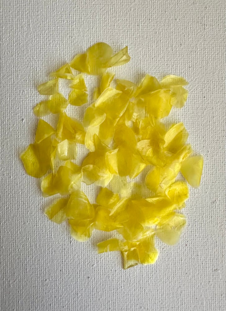 Image of Dyed fish scales - Yellow