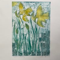 Image 1 of Daffodils in February 