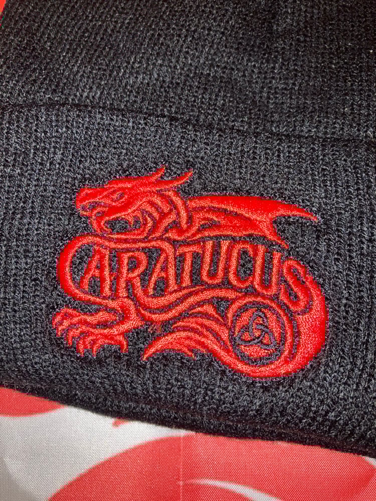 Logo beanie hat  Image 2