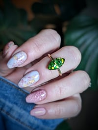 Image 1 of The Marquise 