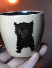 Image 1 of This kitty woke up and CRAVES chaos