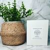 Zodiac Crystal Infused Candle 450g - ARIES  **ONLY 10 AVAILABLE**