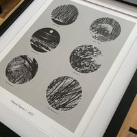 Image 2 of Natural Patterns I / 16" x 20" Print 