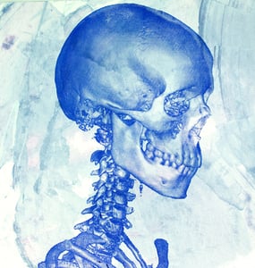 Image of "Studies of a Skull"-right 60 degree View, LIMITED EDITION Screen Print Anatomical Lowbrow Art, C.T 