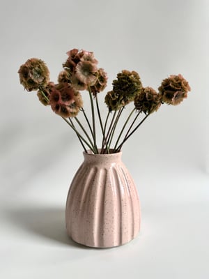 Image of Pink vase 6