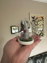 Image 2 of Blue Doctor Mini Dome