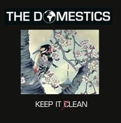 Image of THE DOMESTICS (U.K.) - 'KEEP IT LEAN' 14 TRACK CD ALBUM (previews at www.thedomestics.bandcamp.com)