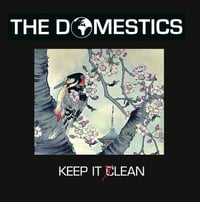 THE DOMESTICS (U.K.) - 'KEEP IT LEAN' 14 TRACK CD ALBUM (previews at www.thedomestics.bandcamp.com)