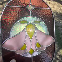 Image 3 of Rosy Maple