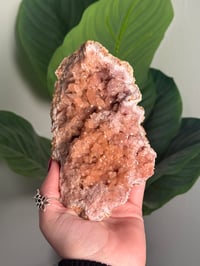 Image 1 of HQ PINK AMETHYST GEODE -ARGENTINA- C