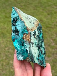 Image 9 of Atacamite Specimen #2332