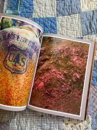 Image 3 of Moon Dust, Robert LeBlanc, 2021.