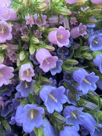 Image 4 of Spring Bouquet