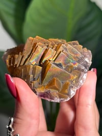 Image 5 of NATURAL RAINBOW IRIDESCENT CUBIC FLUORITE -CHINA- L