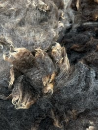 Image 2 of #24 Raw Harting Black Fleece - Mixed Colour