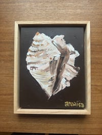 Image 6 of Conch Shell Treasure Original