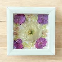 Image 2 of Genuine White Hollyhock, Hydrangea & Geranium Wildflower Art In 6" X 6" Shadow Box (Item# 202301S)