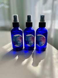 Image 3 of Helichrysum italicum Hydrosol 