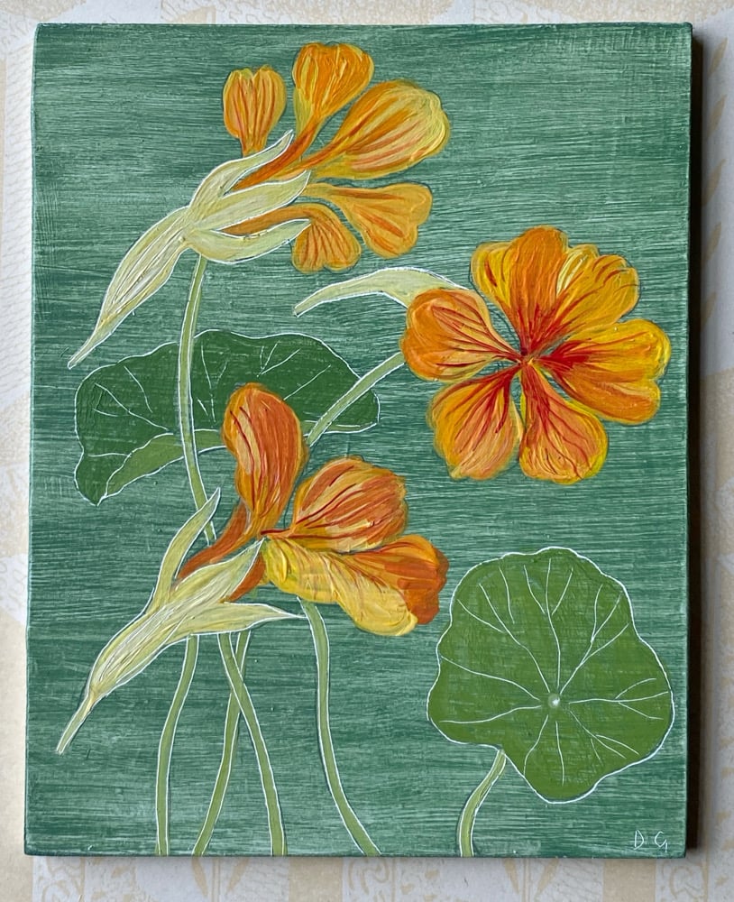 Image of Nasturtiums (B)