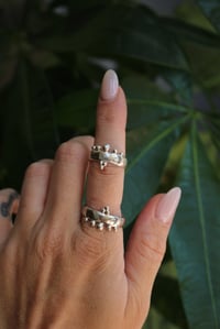 Image 2 of Dotty Stackers 