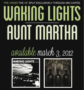 Image of Pre-Order Waking Lights/Aunt Martha 12" Split