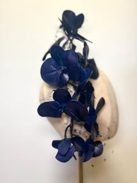 Image 3 of Navy orchids. 