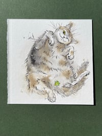 Image 1 of Lucky - Kitty Cat Study