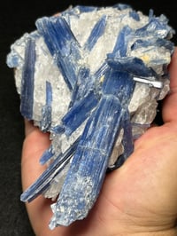 Image 12 of Blue Kyanite & Quartz Specimen #2449