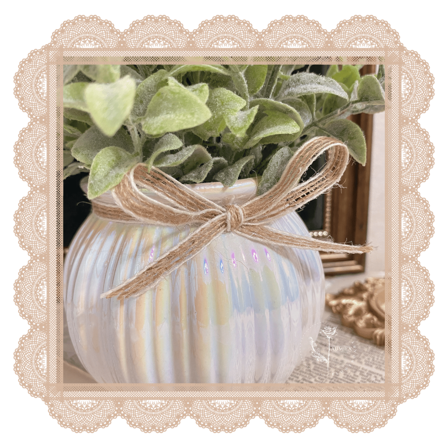 Image of Velvet Potted Eucalyptus