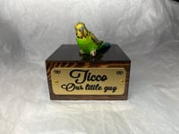 Image 7 of Custom Engraved Budgie Parakeet Handpainted To Your Photos Bird Mini Keepsake Urn Pet Portrait