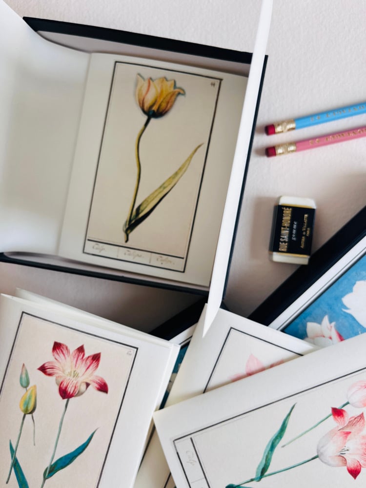 Image of 6_TULIPES