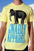 Image of Elephant
