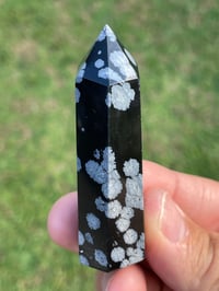 Image 6 of Snowflake Obsidian Generator #1942
