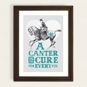 Image of A Canter Is The Cure
