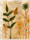 XVII Wild Nature Totebag | pintado a mano