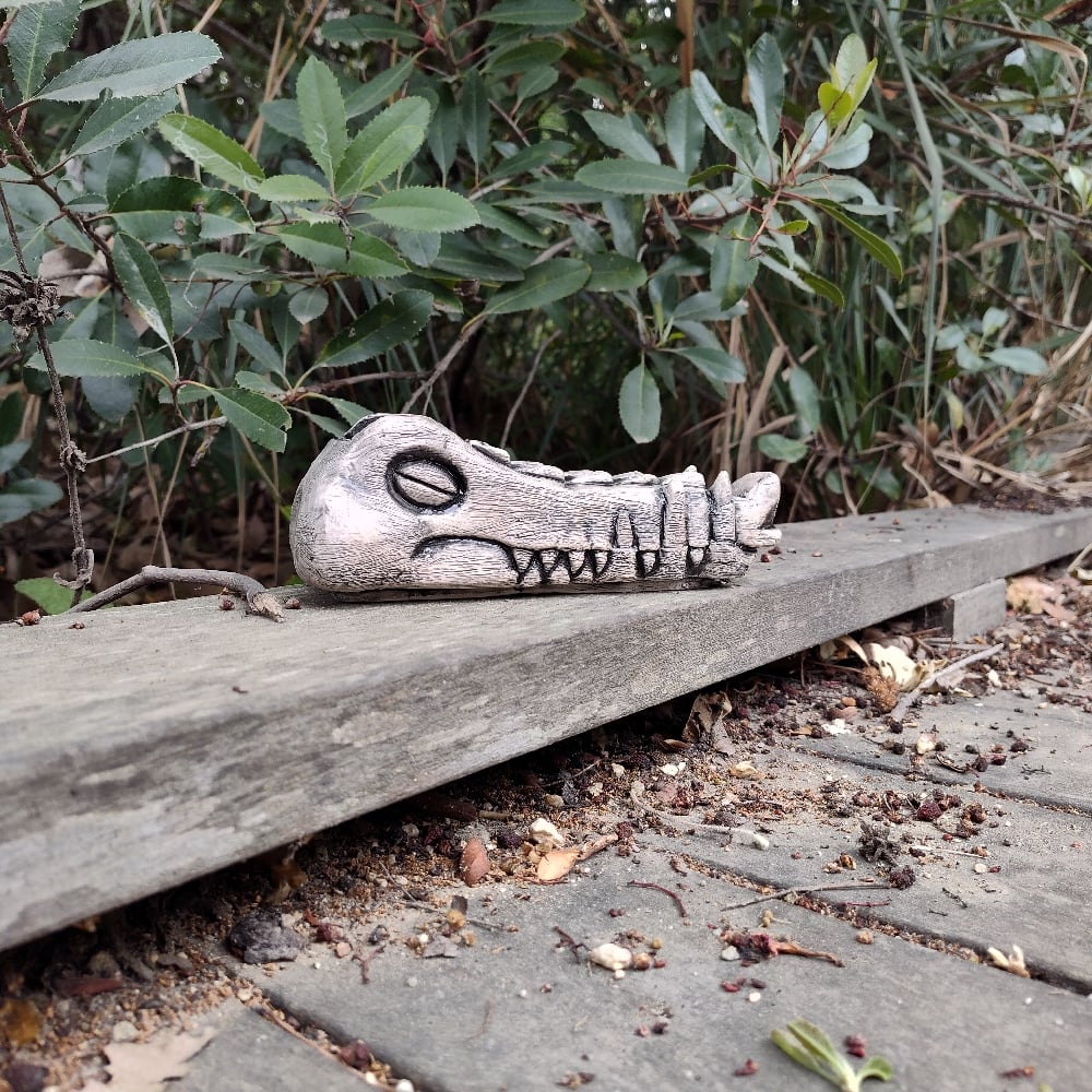 PNG Gator