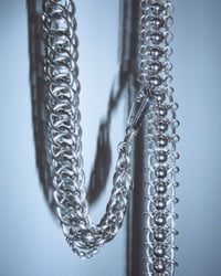 Image 4 of CENTIPEDE chain