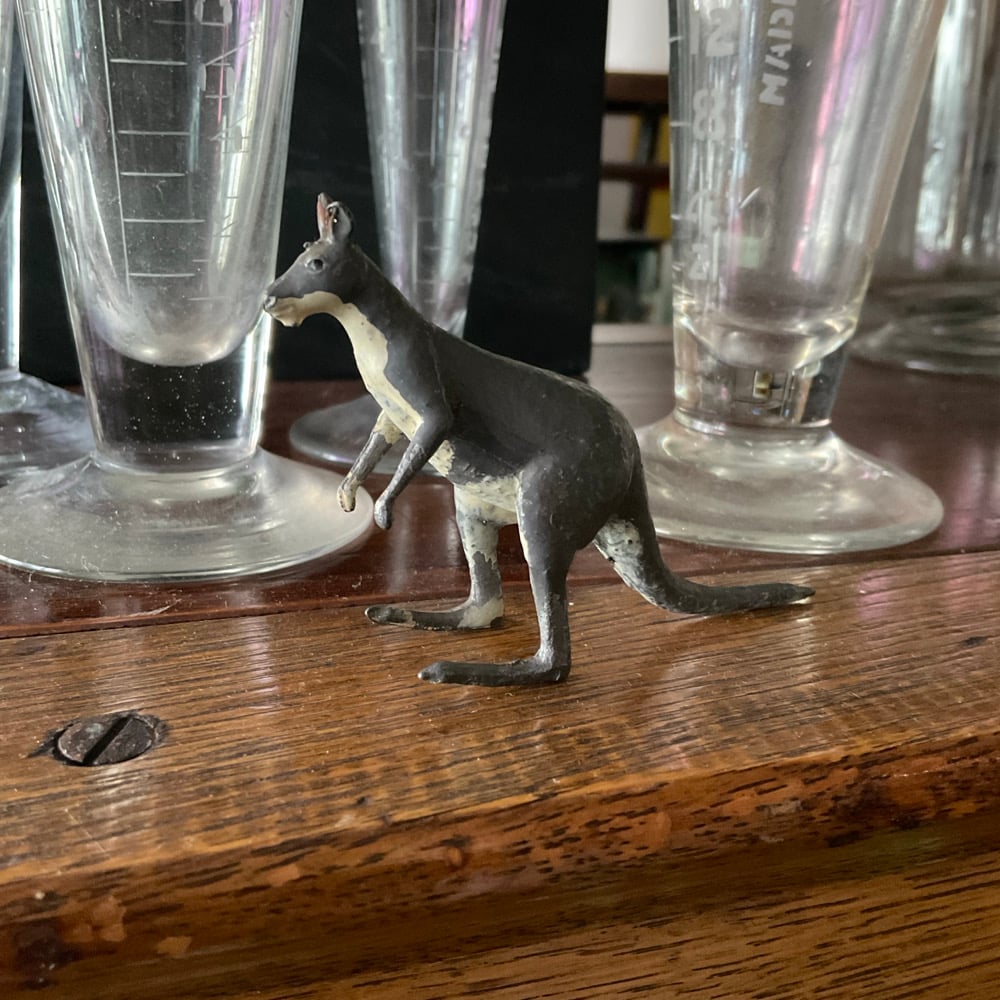 Image of Kangaroo 