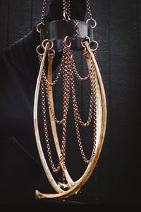 Image 6 of Rib Chandelier