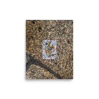 Image 1 of #12