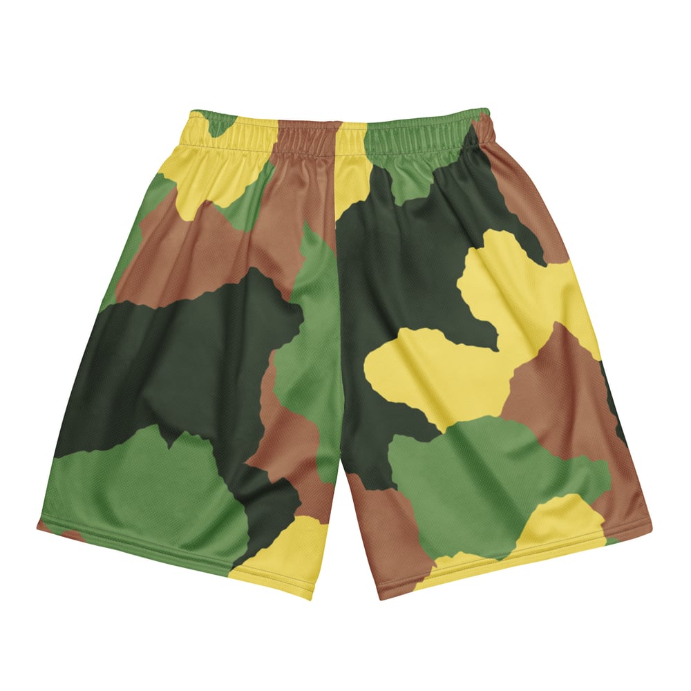Image of KASH PRO SHOPS MESH SHORTS