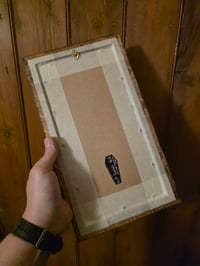 Image 6 of 1800s Gustave Dore Spiders - with real preserved webs -F