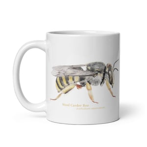 Anthidium Stelis mug