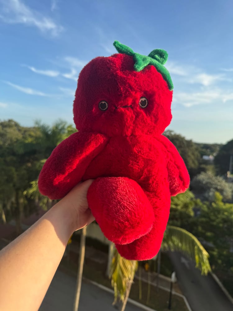 Image of Beefsteak Tometo