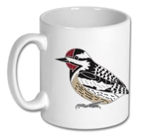 Image 4 of Yellow-bellied Sapsucker - No.15 - Bird Pin Badge Group Series