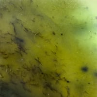 Image 4 of Cyclone Kete