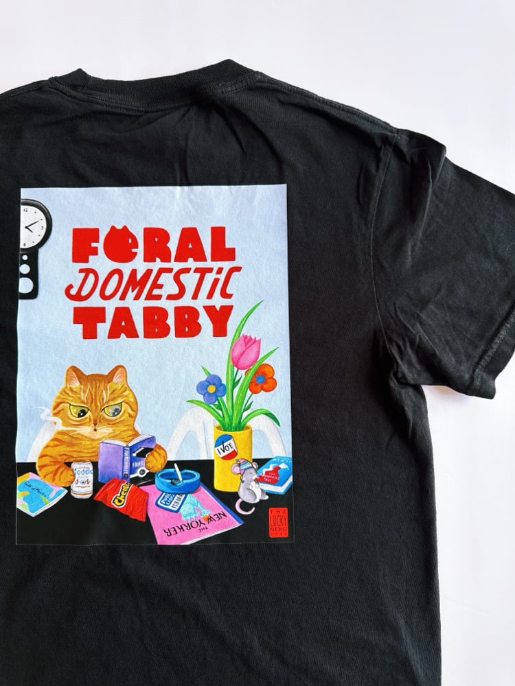 Feline Domestic Tabby